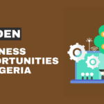 8 Hidden Business opportunities in Nigeria
