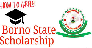 How to apply for Borno State scholarships