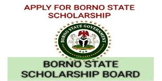 How to apply for Borno State scholarships