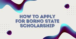 How to apply for Borno State scholarships