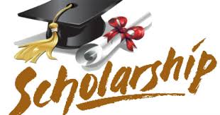 Fully funded scholarships in Nigeria