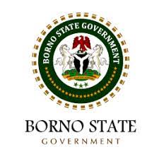 How to apply for Borno State scholarships